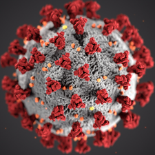 Image of virus molecule representing COVID-19. Image links to Covid 19 resources